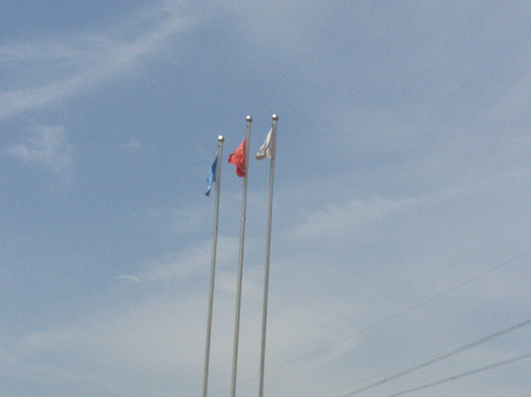 長(zhǎng)風(fēng)破浪在今日，云帆直掛展宏圖